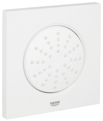 Rainshower F-Series 5" Боковой душ с одним режимом