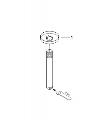 Держатель верхнего душа Grohe Rainshower (28724000) потолочный, 14 см, хром